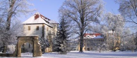 Grafik: Schlossgarten in Neckarbischofsheim